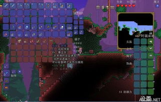 泰拉瑞亚新手攻略:全面掌握萌新入门必备技巧 3