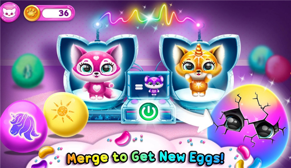 菲露茜斯宠物猫游戏 截图5