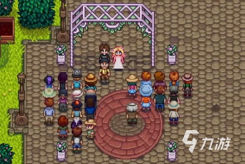 星露谷物语：海莉婚姻攻略，轻松抱得美人归！ 3