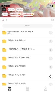 倾城软件库官方下载 1