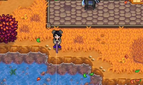 《星露谷物语》钓鱼高手秘籍:让你轻松满载而归! 3