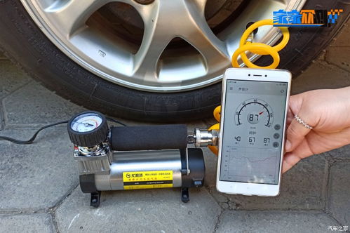 辐射避难所:储藏室管理是否需要分配人手? 2