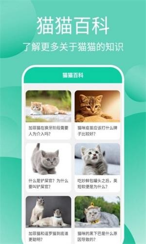 猫猫交流工具 截图2