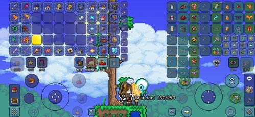 泰拉瑞亚如何召唤不感恩的火鸡? 1