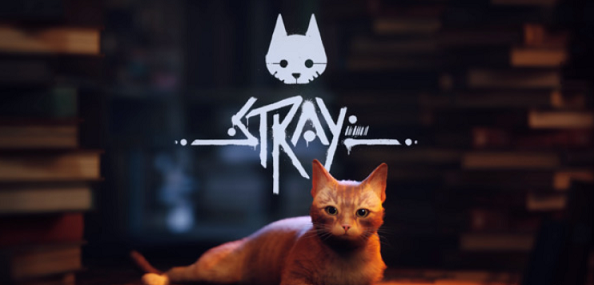 stray猫咪 1