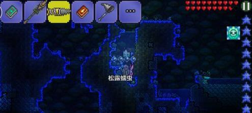 泰拉瑞亚:揭秘生命果实的获取方法 1