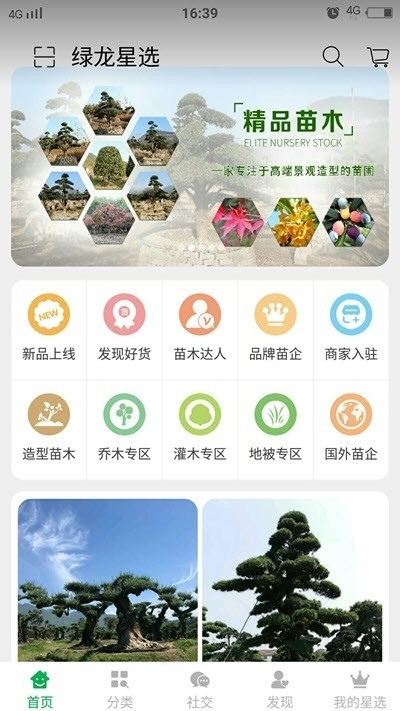 绿龙星选 截图1