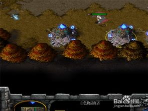 废土新世界:新手必备!初期开局全攻略 3