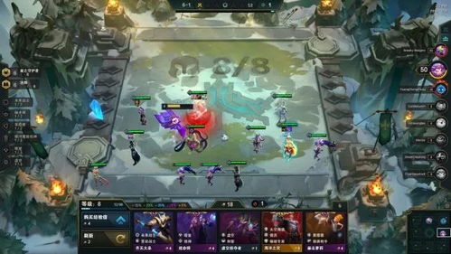 云顶之弈策略揭秘：护卫六法佐伊的制胜之道 2