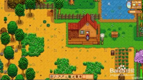 星露谷物语：求婚攻略大揭秘 1