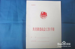 轻松查询：如何快速了解自己的入团时间 3