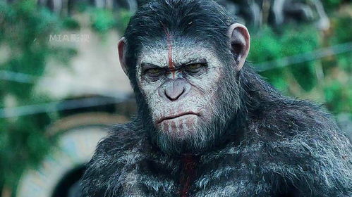 《揭秘《致命公司》:翼猿如何智破企业危机》 1