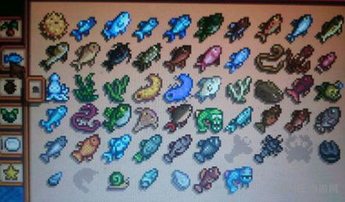 《星露谷物语》头骨钥匙任务速通秘籍! 1