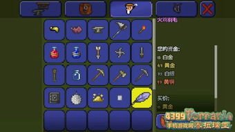 泰拉瑞亚如何召唤不感恩的火鸡? 3