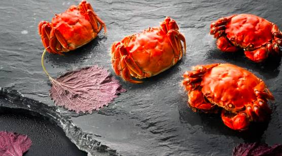 揭秘《梦境食旅》赛螃蟹菜谱,完美复原技巧大公开! 3