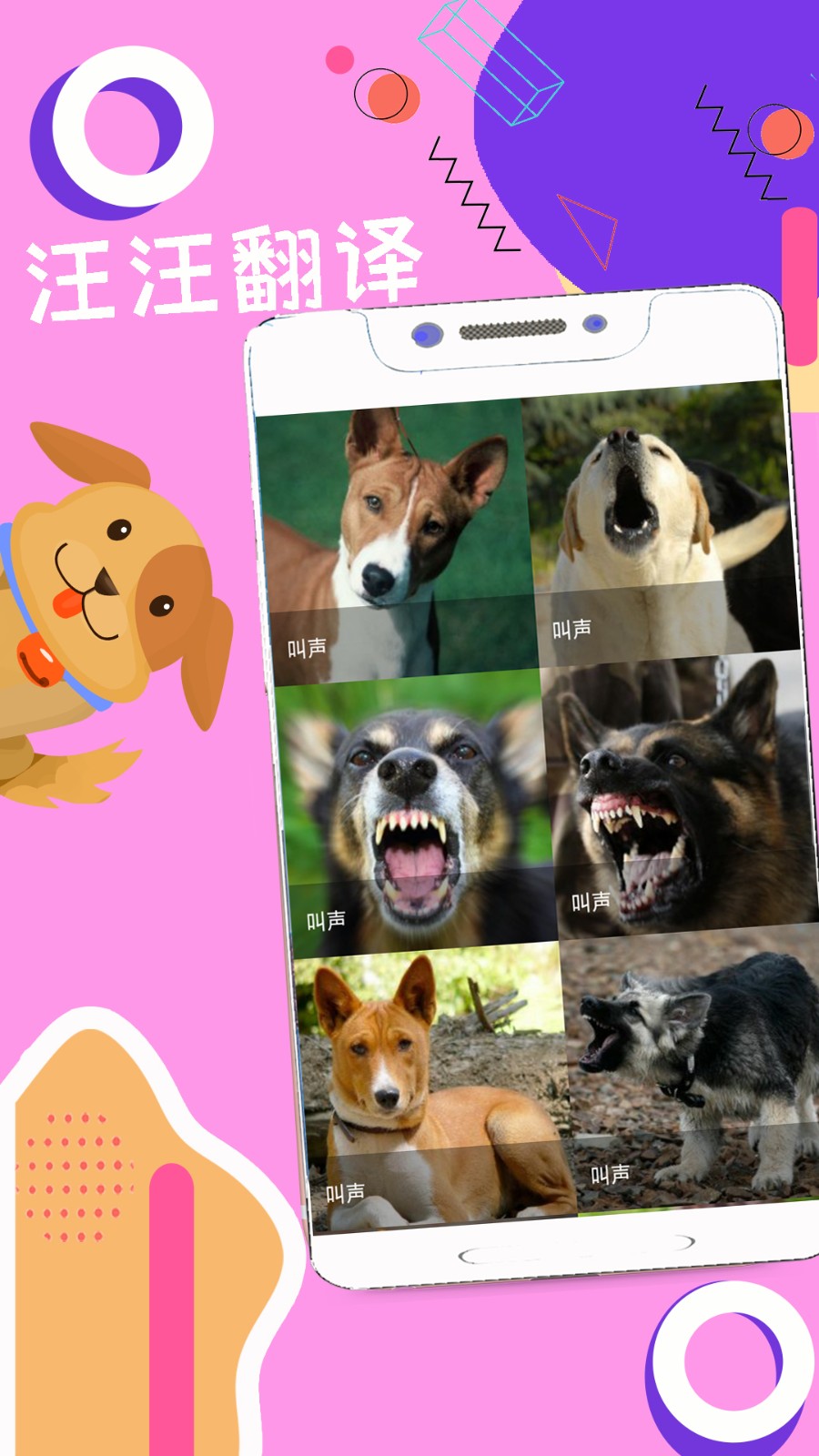 人狗猫猪翻译器 1