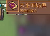 《元气骑士前传》中大巫师的装备有哪些介绍? 2