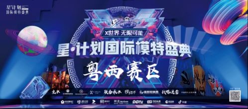 《唱舞星计划:VIP费用明细表》 1