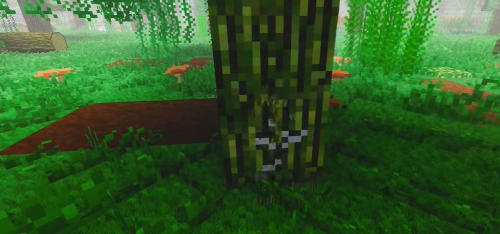 我的世界自然主义整合包 截图3