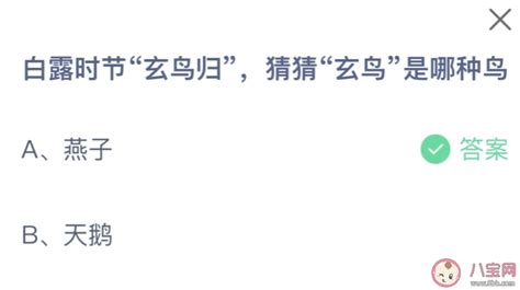 蚂蚁庄园探秘:白露节气,揭秘‘玄鸟’归巢之谜 3