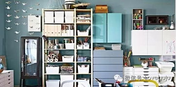 《鸭鸭收纳大师》野郊小筑怎么通关? 1