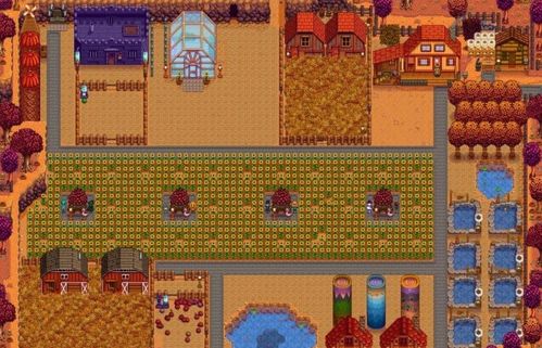 《星露谷物语》：如何解锁社区中心？ 4