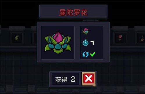 揭秘!元气骑士中的所有可爱宠物 3