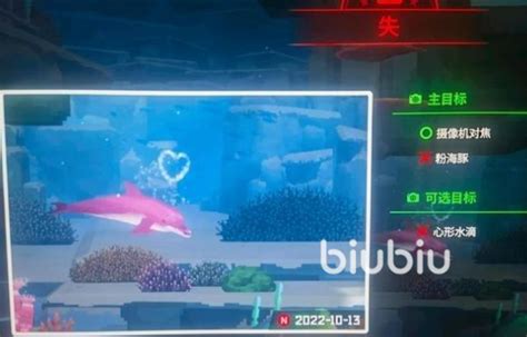 《潜水员戴夫》：粉海豚摄影小窍门 5