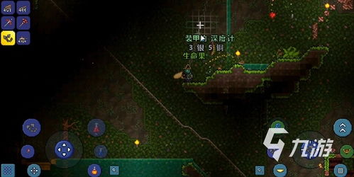 泰拉瑞亚:揭秘生命果实的获取方法 2