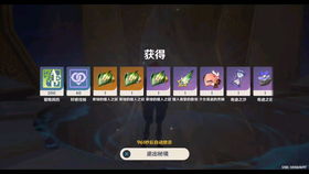 《原神》4.3版本全新圣遗物大揭秘! 4