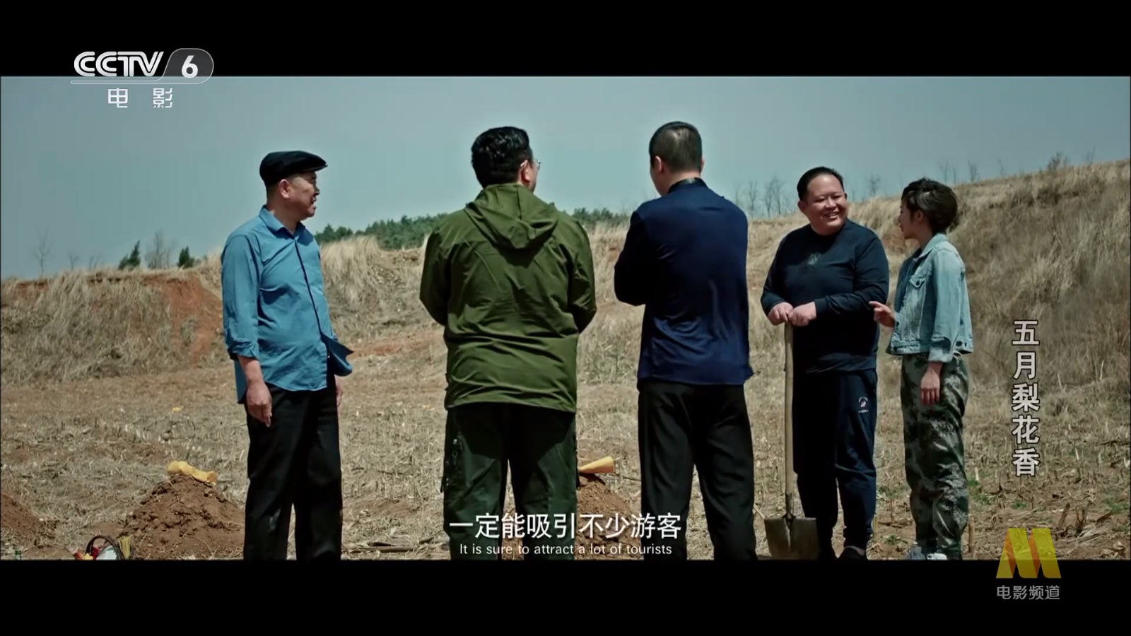 正版网络电视TV 截图2