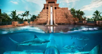 《米塔》:穿越世界的终极移动指南 4