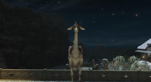 《最终幻想14：水晶世界》如何轻松获取长颈驼？ 4