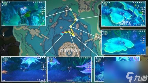 《原神》娜维娅角色突破材料全览 2