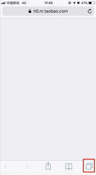 《Safari浏览器设置深色模式的步骤》 1
