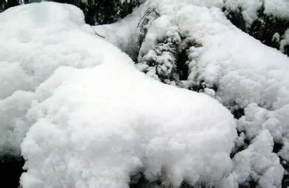 寒冷程度是否影响雪花大小:解析下雪天气与雪花尺寸的关系 1