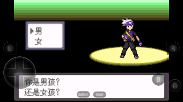 口袋妖怪漆黑的魅影5.0安卓版 截图4