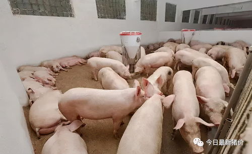 《星球重启》：全面揭秘污染源的高效处理策略 3