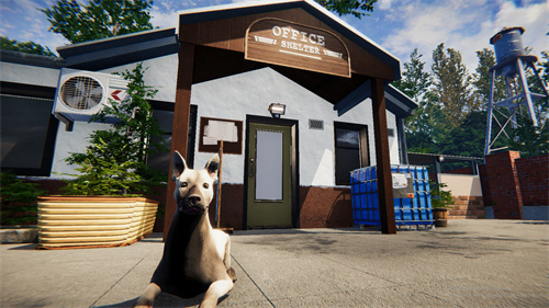 《動物收容所》模擬經營游戲上線Steam 明年一季度即將發售