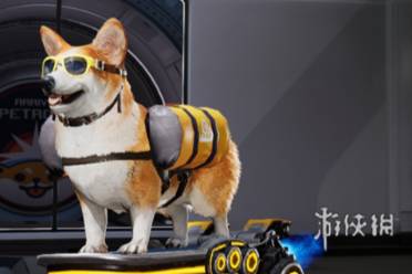 《星球重启》:萌翻宇宙的飞天小柯基宠物全揭秘 2