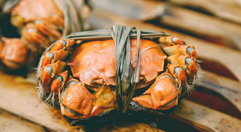 揭秘《梦境食旅》赛螃蟹菜谱,完美复原技巧大公开! 1