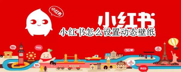 小红书视频怎么设置动态壁纸-小红书设置动态壁纸方法介绍
