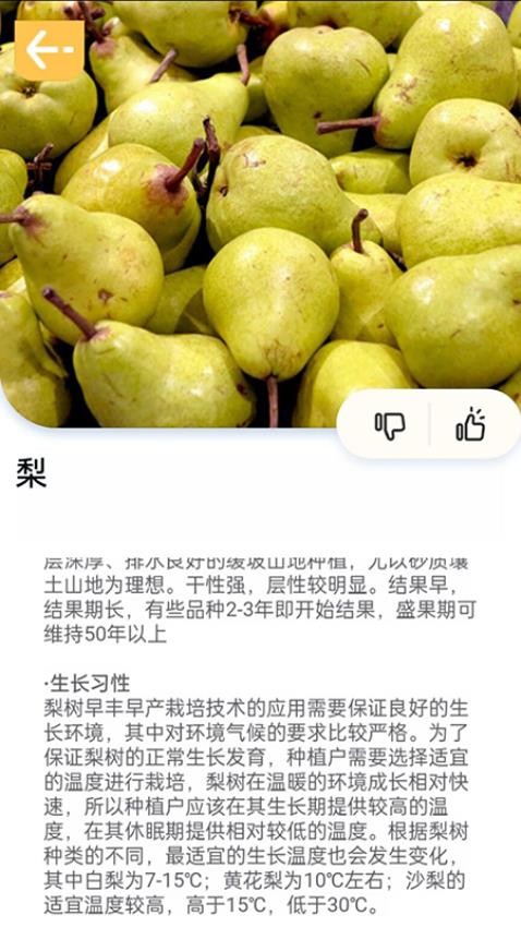 百果日记app 1