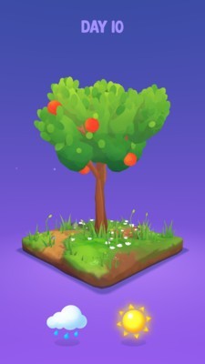 小树成长记 截图4