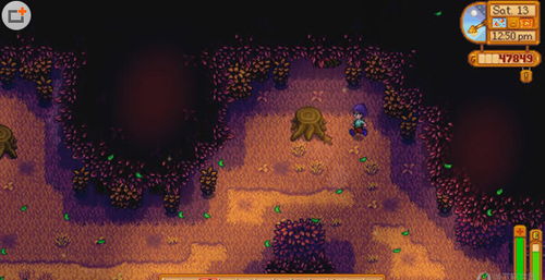 星露谷物语中怎样大量获取硬木? 2