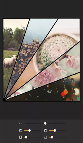 moldiv安卓版 截图3