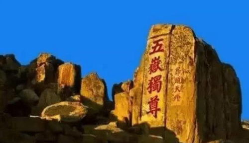 《脑洞茬里王》通关秘籍:巧妙解救祖宗,助你顺利修筑祠堂! 1