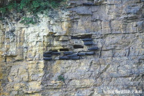 2023年11月《弹壳特攻队》最新礼包码 1