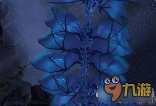 《魔兽世界》谣言任务:独家接取秘籍大揭秘! 1