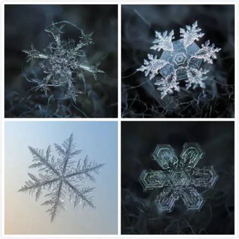 寒冷程度是否影响雪花大小:解析下雪天气与雪花尺寸的关系 3